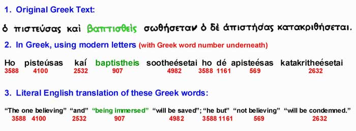 Greek words used in Mark 16:16